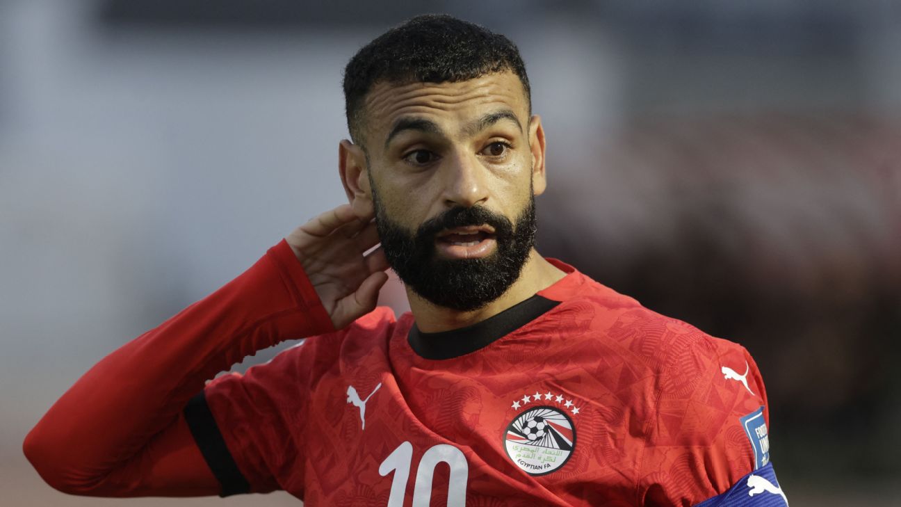 FIFA要求埃及世界杯球衣去掉七颗星 号码也改色